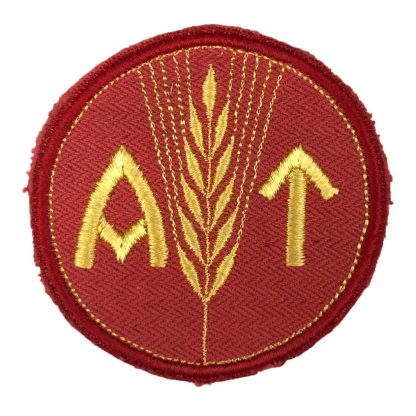 Original WWII Norwegian 'Arbeidstjeneste' female labour service insignia