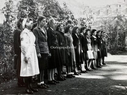 Original WWII Flemish DRK & Waffen-SS photo grouping – Flemish/Wallonian DRK nurses and SS officers