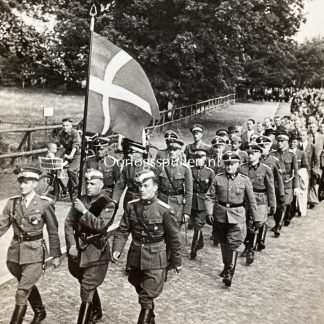 Original WWII Danish Waffen-SS ‘Freikorps Danmark’ volunteer photo