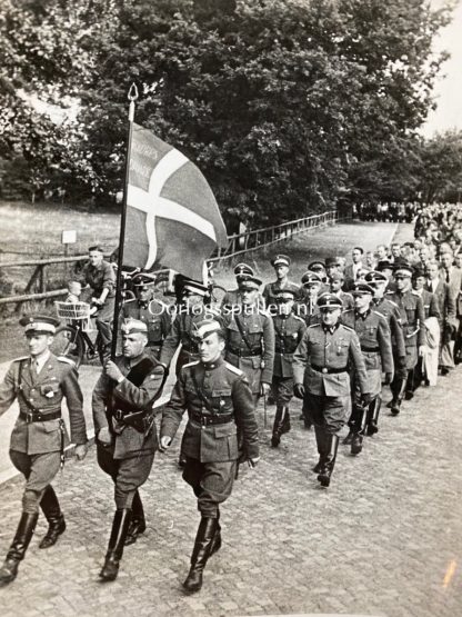 Original WWII Danish Waffen-SS ‘Freikorps Danmark’ volunteer photo