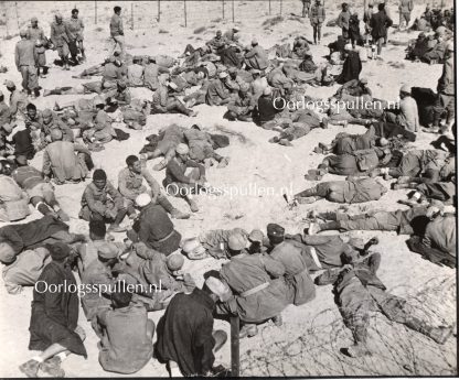 Original WWII British photo ‘Prisoners taken by the Eight Army’