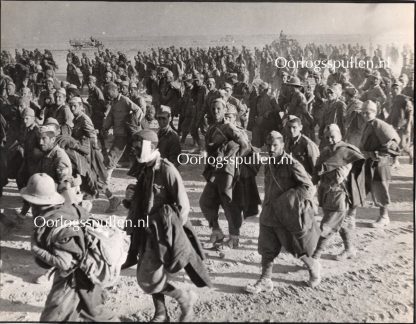 Original WWII British photo ‘New Zealanders round up prisoners’