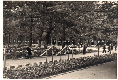 Original WWII German photo cemetery Grebbeberg Netherlands