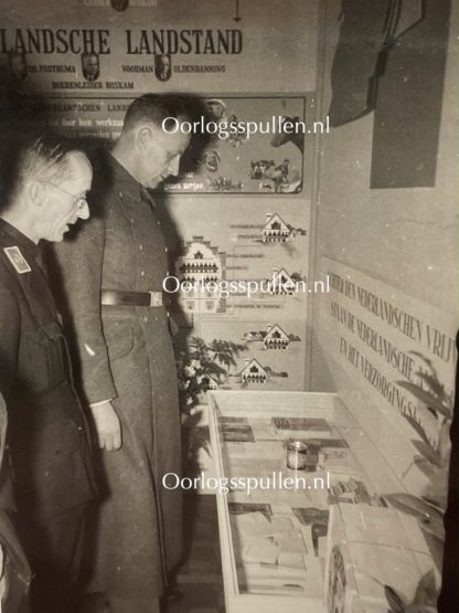 Original WWII Dutch NSB Waffen-SS volunteer photos
