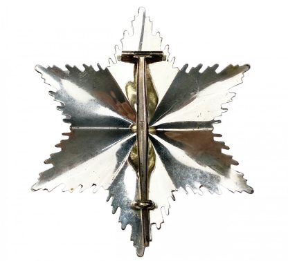 Original WWII German Order of the German Eagle breast star