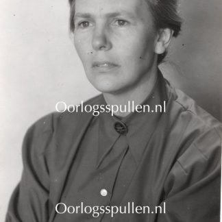 Original WWII Dutch NSVO photo