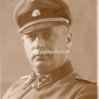 Original WWII German Waffen-SS officer photo