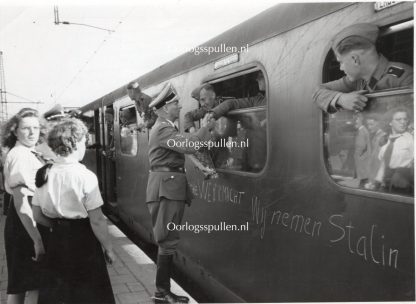 Original WWII Dutch Waffen-SS volunteer photo