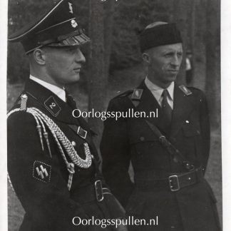 Original WWII Dutch Germaansche SS photo