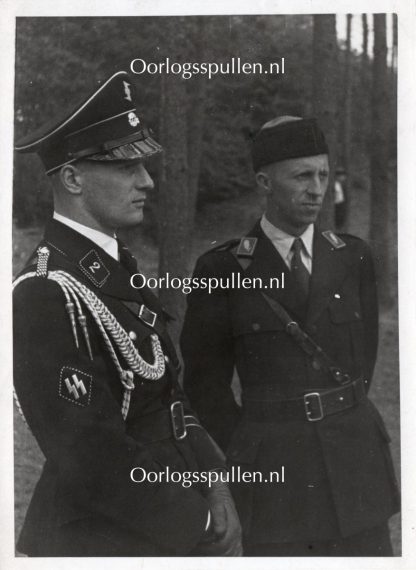 Original WWII Dutch Germaansche SS photo