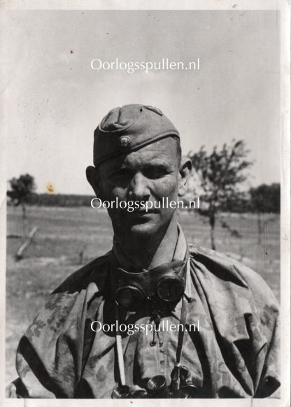 Original WWII German Waffen-SS portrait photo - Tarnjacke
