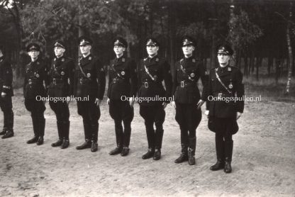 Original WWII Dutch NSB photo grouping W.A. sports insignia ceremony in Oud-Leusden