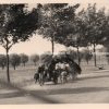 Original WWII German May 1940 foto grouping