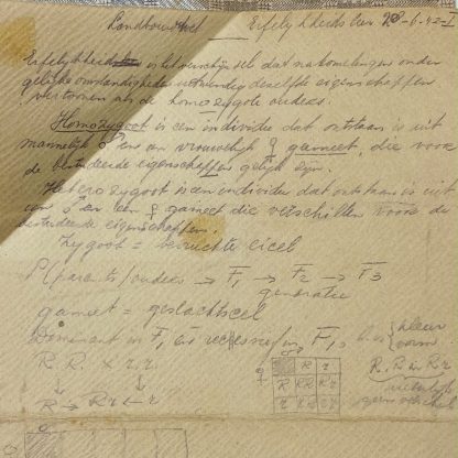 Original WWII Dutch STALAG described table paper - STALAG XI A Alten-Grabow