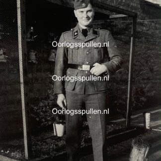 Original WWII Flemish Waffen-SS 'SS-Freiwilligen Legion Flandern' photo