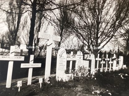 Original WWII Dutch photo Graves at the cemetery in Rotterdam