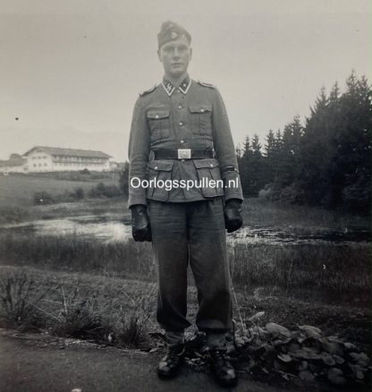 Original WWII Flemish Waffen-SS photo