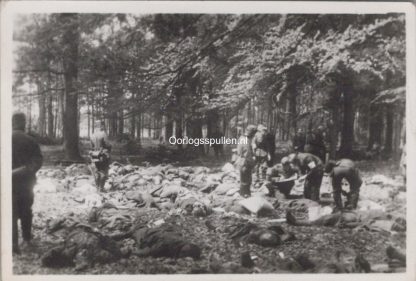 Original WWII Dutch photo Grebbeberg May 1940