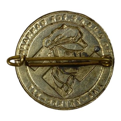 Original WWII D.N.S.A.P. pin