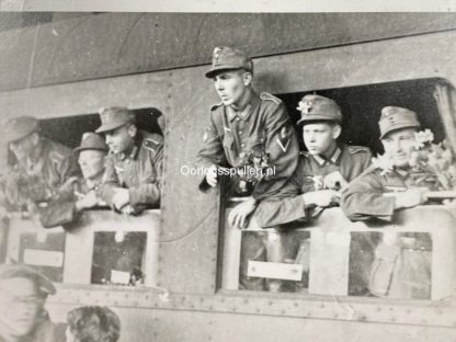 Original WWII Walloon collaboration photo grouping - Waffen-SS / Legion Wallonien / Jeunesse Légionnaire
