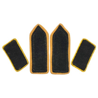 Original WWII Flemish NSJV insignia set