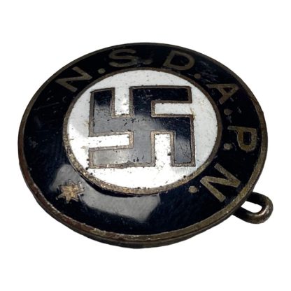 Original WWII Danish NSDAPN pin