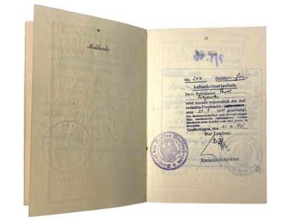 Original WWII Polish passport