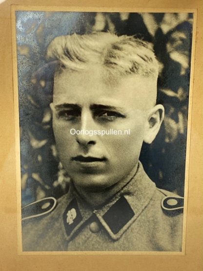 Original WWII Danish Waffen-SS volunteer portrait photo