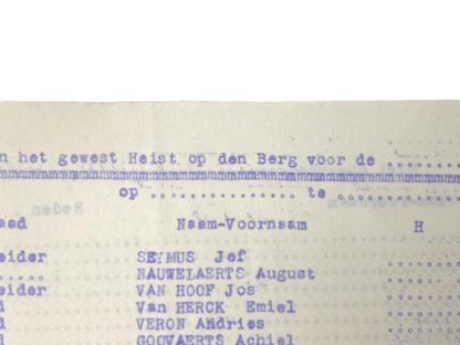 Dietsche Militie - Vlaamse Collaboratie - Flemish collaboration organization - Heist op den Berg - Tweede Wereldoorlog - World War II - Militaria