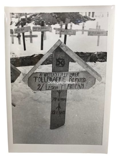 Original WWII Flemish Waffen-SS volunteer legion Reimond Tollenaere grave photo