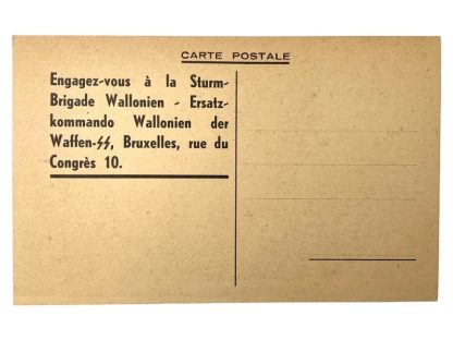 WWII Walloon SS-Sturmbrigade Wallonien post card - Carte postale de la SS-Sturmbrigade wallonne de la Seconde Guerre mondiale - postkaart - collaboratie in België - collaboration in Belgium - collaboration en Belgique - Militaria