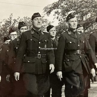 Original WWII Flemish Zwarte Brigade / Dietsche Militie photo