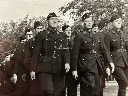 Original WWII Flemish Zwarte Brigade / Dietsche Militie photo