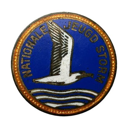 Original WWII Dutch Nationale Jeugdstorm pin