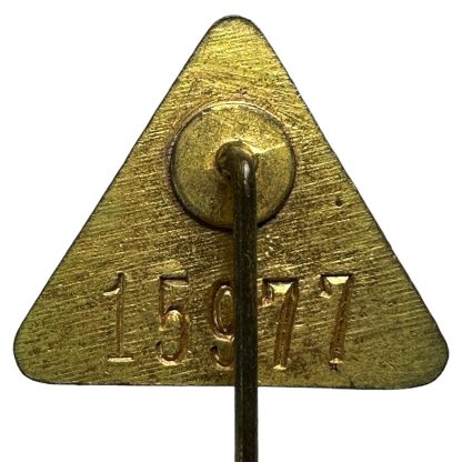 Original WWII Dutch NSB 5 years badge