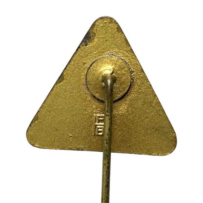 Original WWII Dutch NSB pin