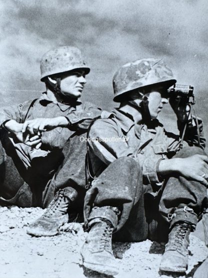 Original WWII German photo of Fallschirmjägers in Tunis
