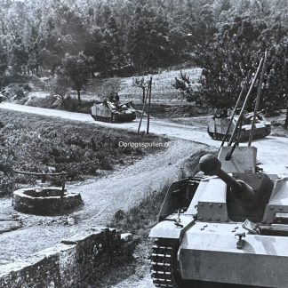Original WWII German photo of Sturmgeschutz tanks in southern France