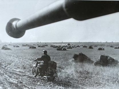Original WWII German photo of Tiger tanks on the battlefield