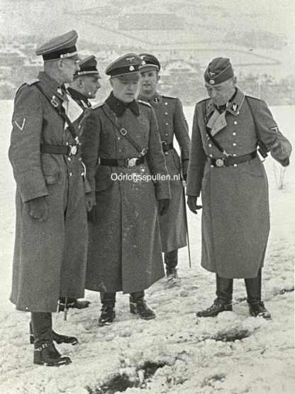 Original WWII German Waffen-SS photo of several officers