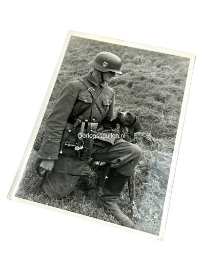 Original WWII German Waffen-SS photo of a soldier with his dog