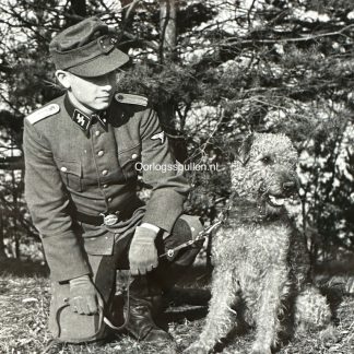 Original WWII German Waffen-SS photo of an officer with his dog militaria