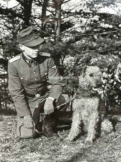 Original WWII German Waffen-SS photo of an officer with his dog militaria