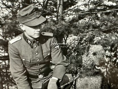 Original WWII German Waffen-SS photo of an officer with his dog