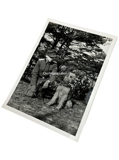 Original WWII German Waffen-SS photo of an officer with his dog