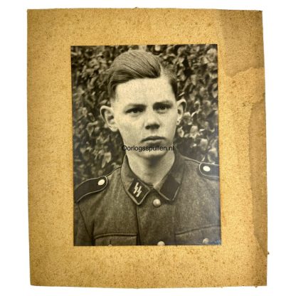 Original WWII German Waffen-SS portrait photo