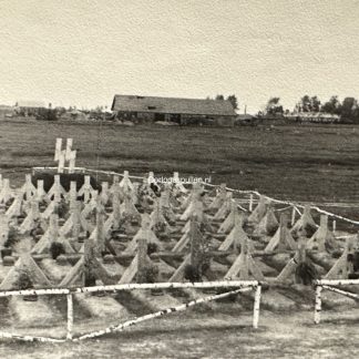 Original WWII German Waffen-SS photo of the 'Das Reich' cemetery in Jelna 1941