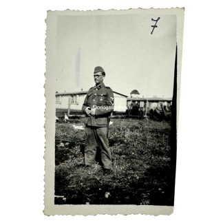 Original WWII Flemish Waffen-SS volunteer photo Waterschei