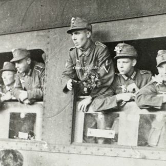 Original WWII Walloon volunteer legion photo Brussels 1942