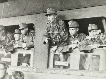 Original WWII Walloon volunteer legion photo Brussels 1942